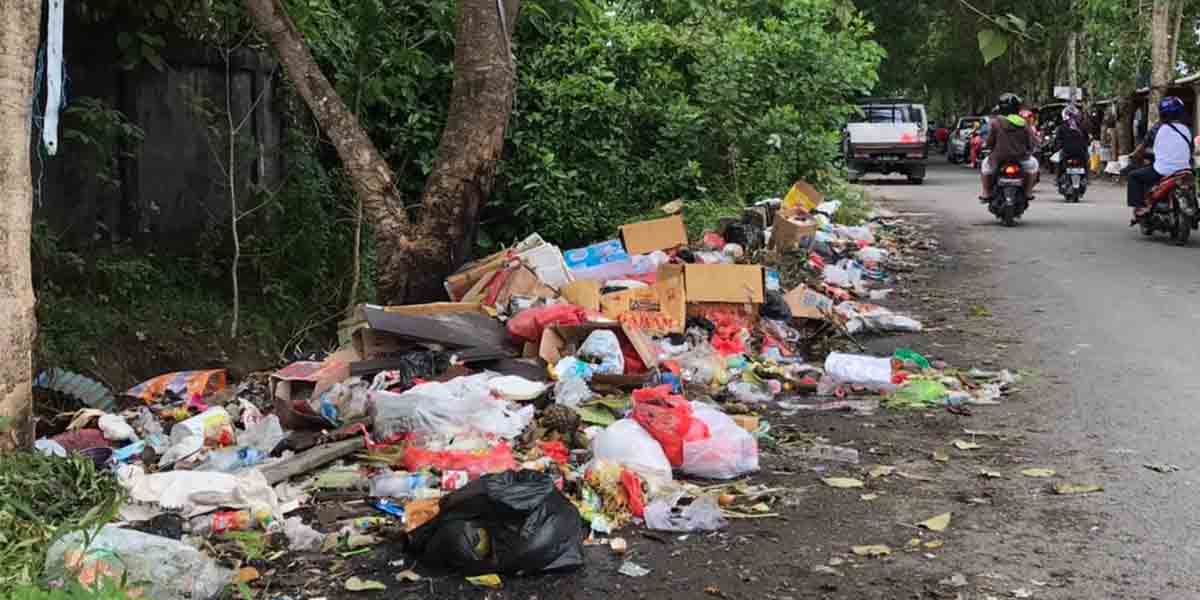pln-wacanakan-sampah-jadi-energi-listrik-ketika-volume-sampah-masih-terlalu-kecil
